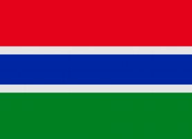 The Gambia flag