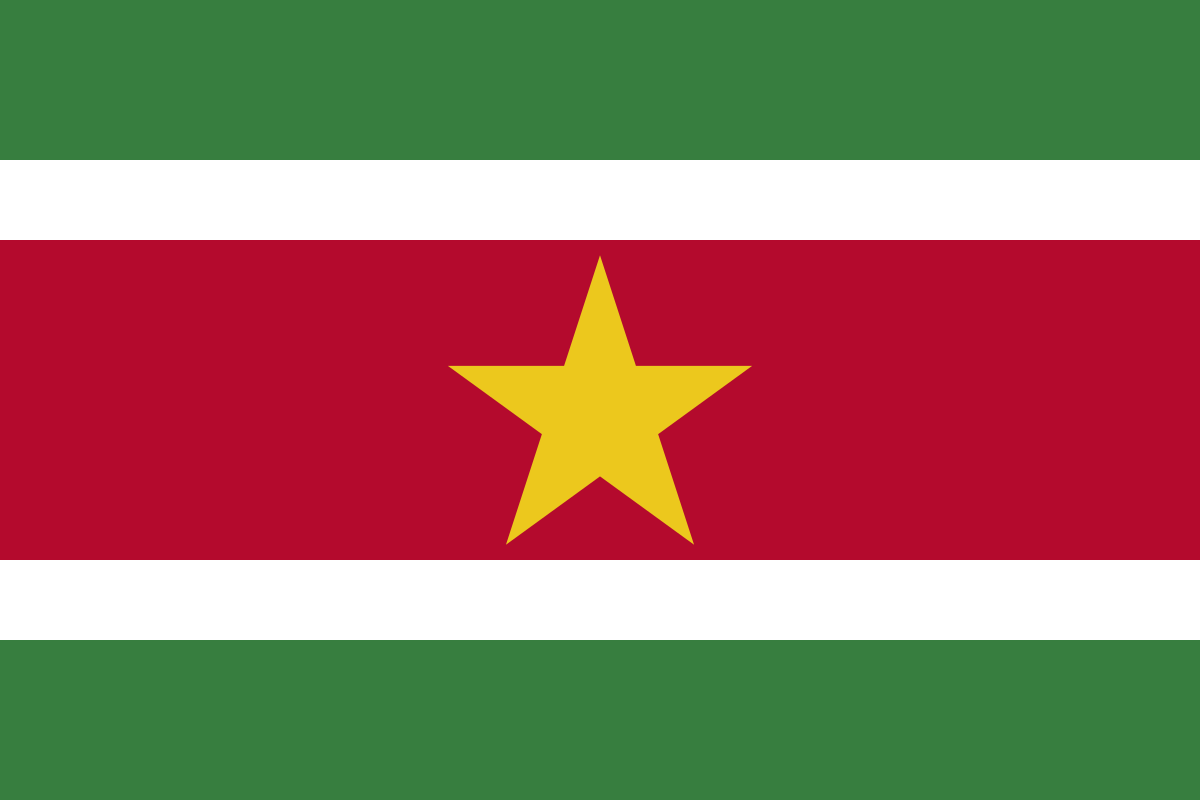 Suriname flag